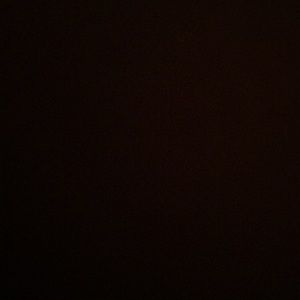 Meet your Posher, Reyna